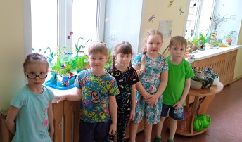 «Огород на окне» «Огород на окне».