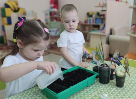"Весенний огород" "Весенний огород".