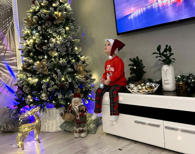 "Готовимся к Новому году" "Готовимся к Новому году".